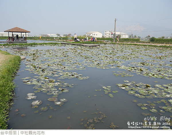 中社觀光花市-73.jpg 中社觀光花市-73.jpg
