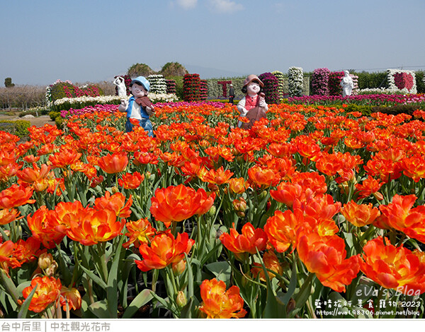 中社觀光花市-49.jpg 中社觀光花市-49.jpg