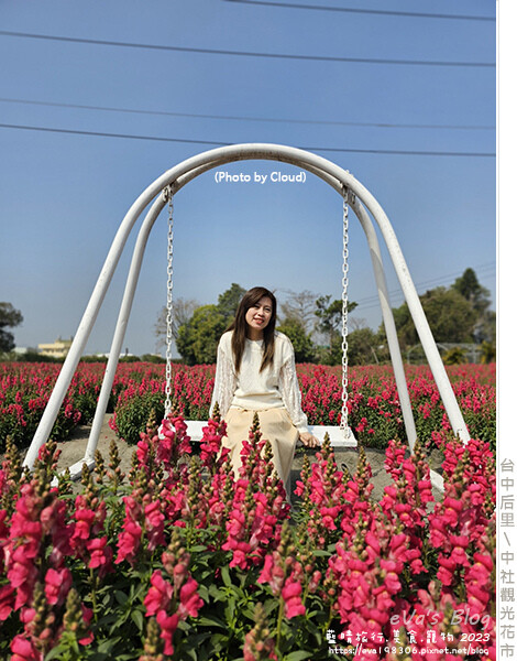 中社觀光花市-70.jpg 中社觀光花市-70.jpg