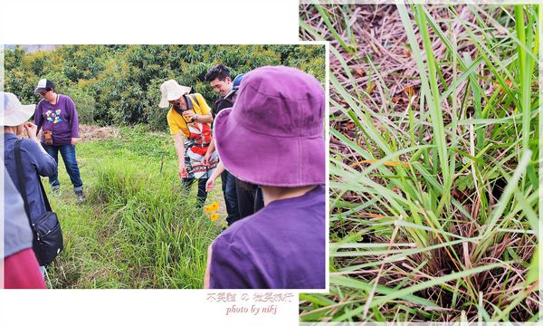 高雄一日農夫體驗趣_農村知識王