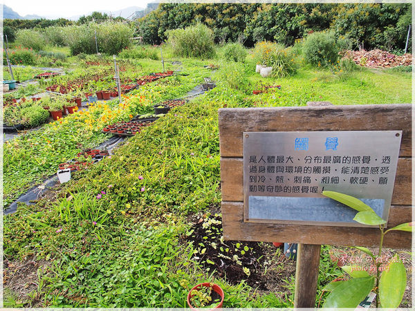 高雄一日農夫體驗趣_農村知識王