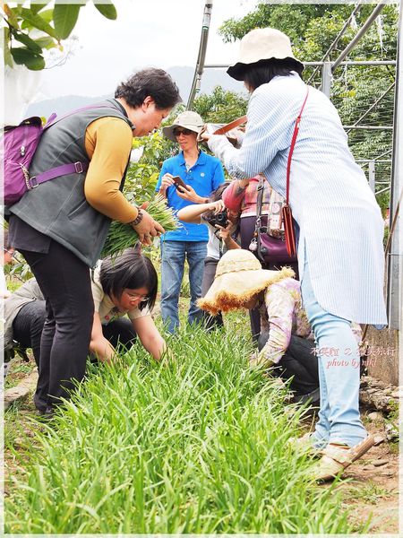高雄一日農夫體驗趣_農村知識王