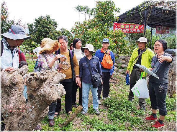 高雄一日農夫體驗趣_農村知識王