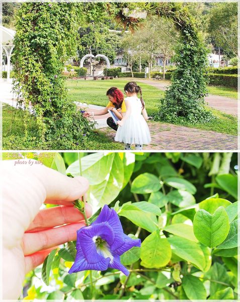 高雄一日農夫體驗趣_農村知識王