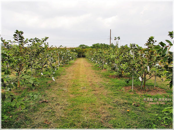高雄一日農夫體驗趣_農村知識王