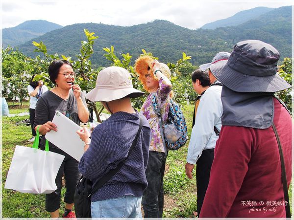 高雄一日農夫體驗趣_農村知識王