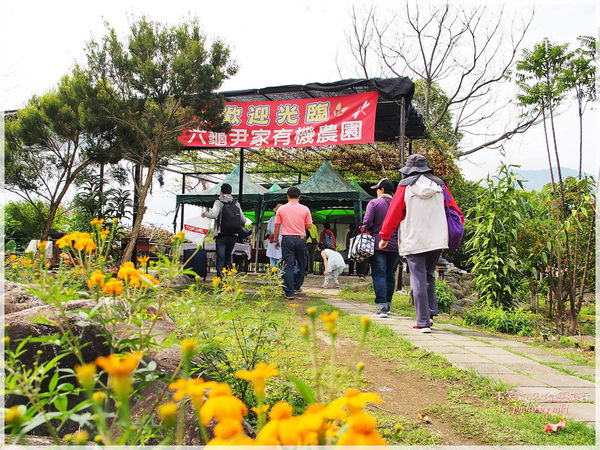 高雄一日農夫體驗趣_農村知識王