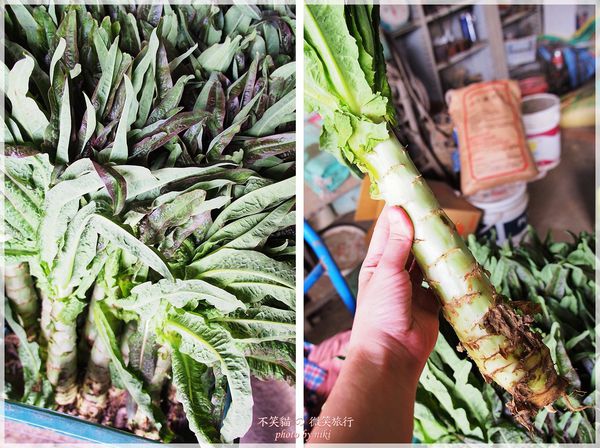 高雄一日農夫體驗趣_農村知識王