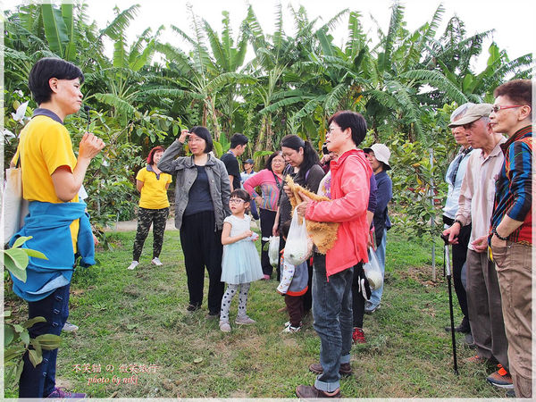 高雄一日農夫體驗趣_農村知識王