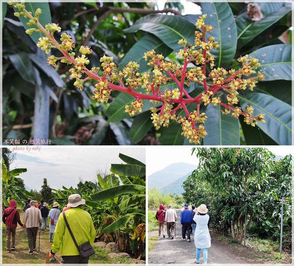 高雄一日農夫體驗趣_農村知識王