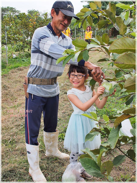 高雄一日農夫體驗趣_農村知識王