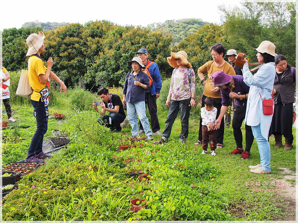 高雄一日農夫體驗趣_農村知識王