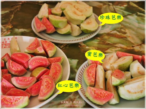 高雄一日農夫體驗趣_農村知識王