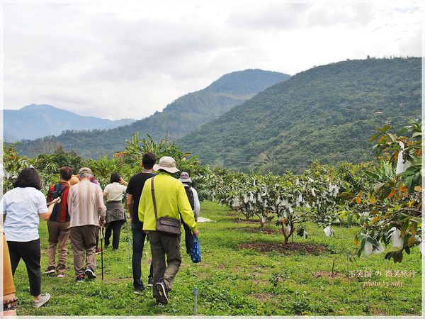 高雄一日農夫體驗趣_農村知識王
