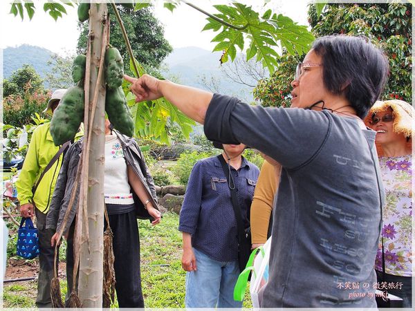 高雄一日農夫體驗趣_農村知識王