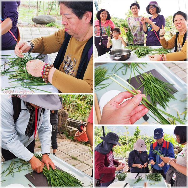 高雄一日農夫體驗趣_農村知識王