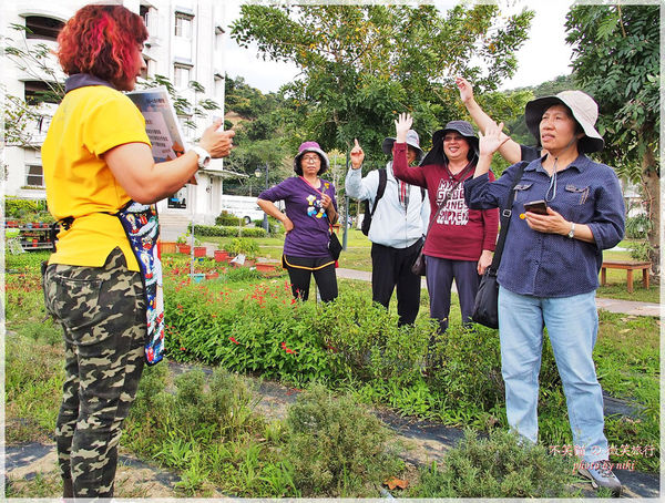 高雄一日農夫體驗趣_農村知識王