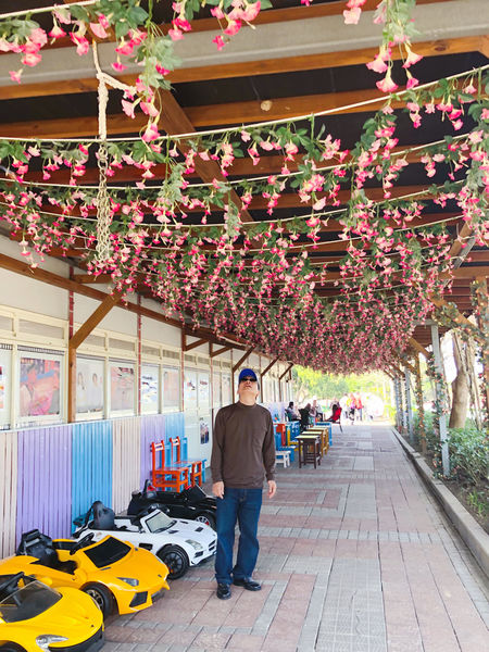 親子景點::穿和服只要50元!拍照打卡彷彿走在日本街道上,苗栗貓貍影城 ❤ 苗栗一日遊