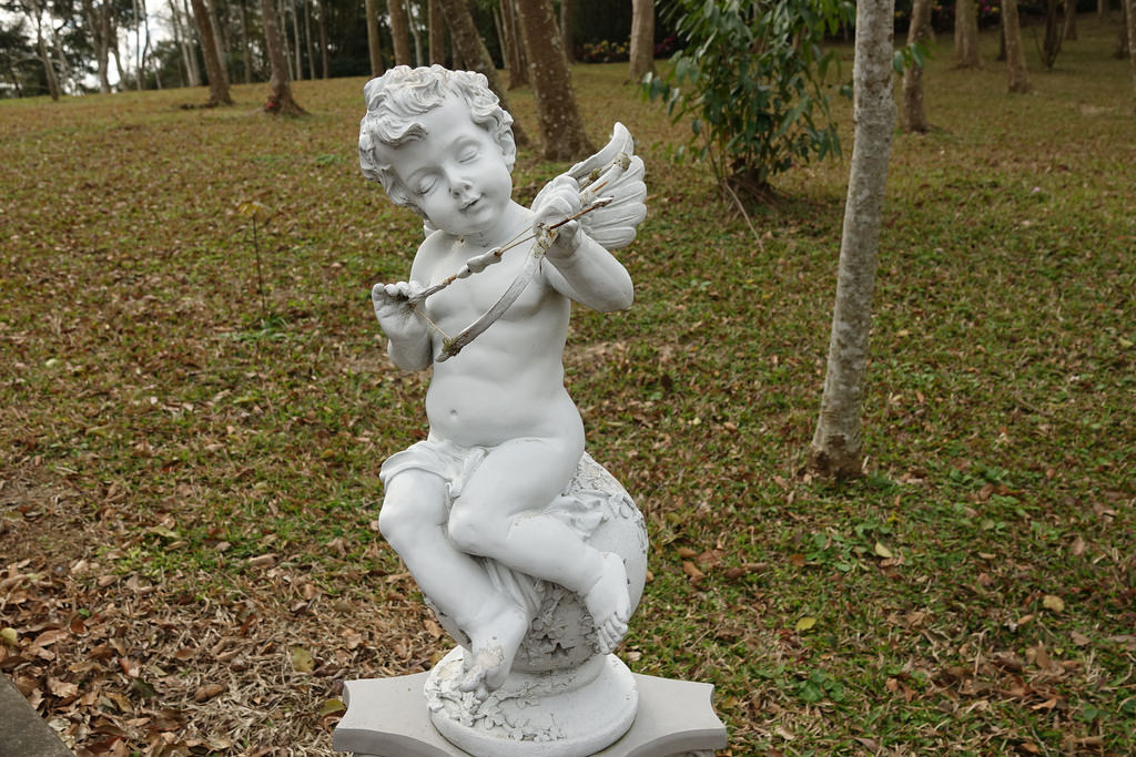 20180220_苗栗貓貍影城 (91)