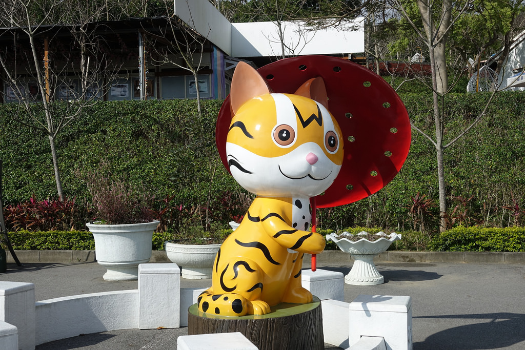 20180220_苗栗貓貍影城 (12)