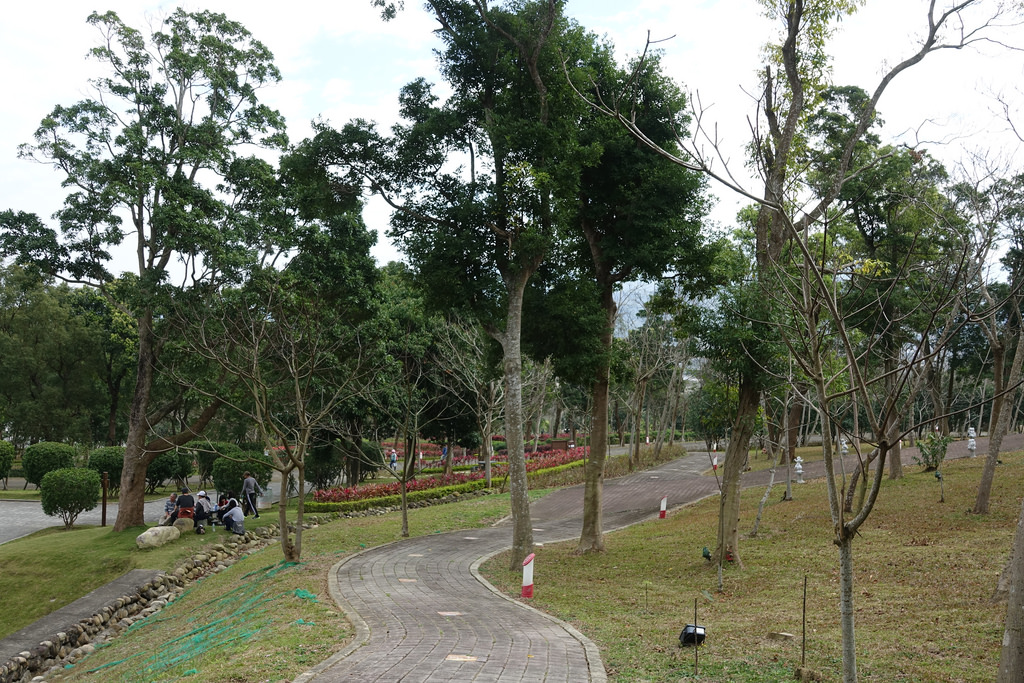 20180220_苗栗貓貍影城 (89)