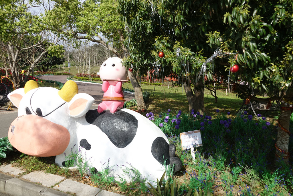 20180220_苗栗貓貍影城 (19)