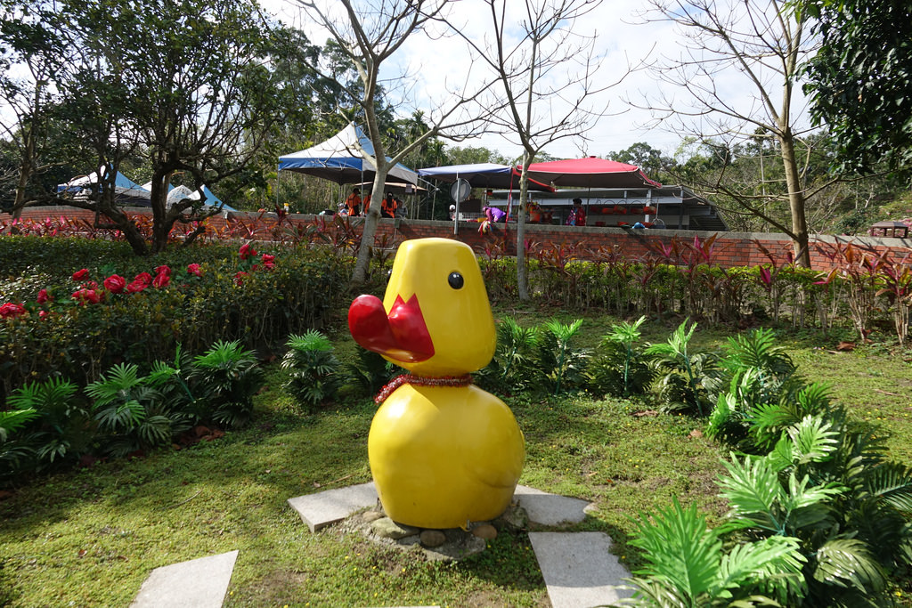 20180220_苗栗貓貍影城 (31)