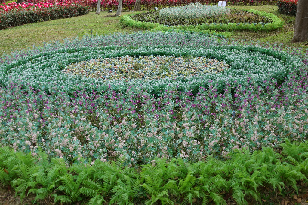 20180220_苗栗貓貍影城 (102)