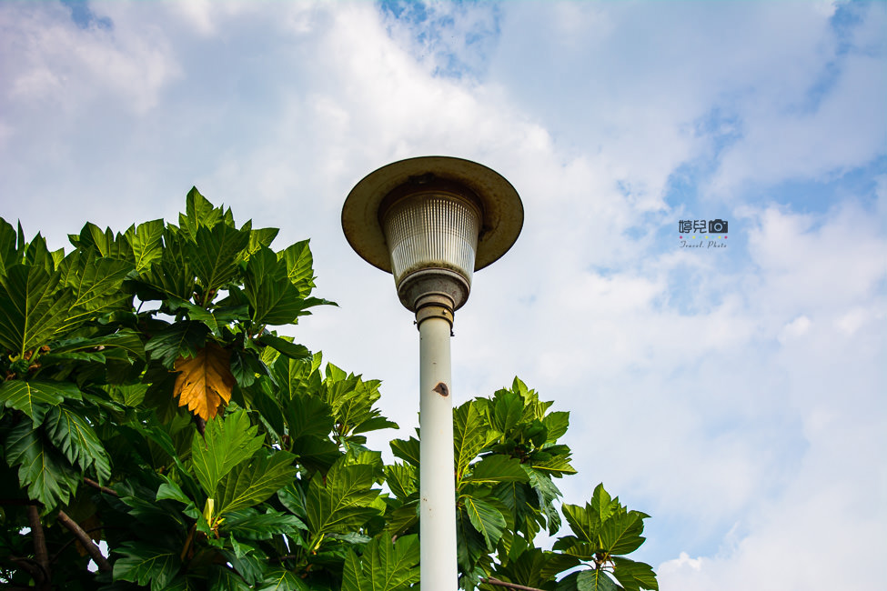 ｜屏東景點｜東海車站，適合放空發呆的無人小車站 - 阿婷的旅行札記。
