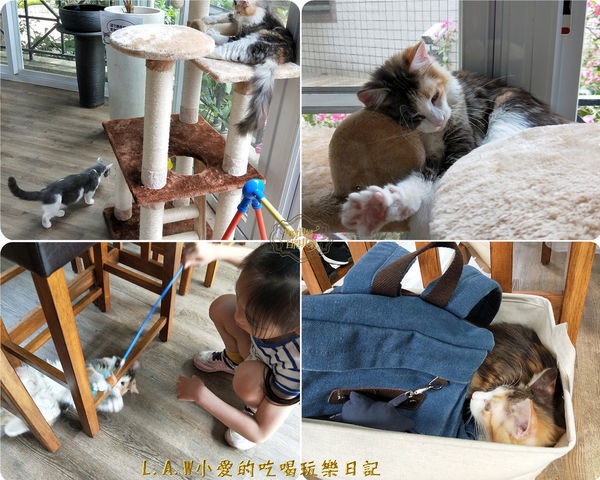 20180519楊梅美食@貓森咖啡-13.jpg