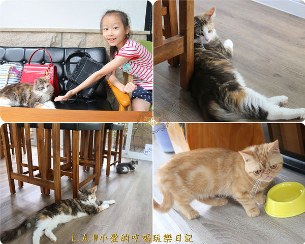 20180519楊梅美食@貓森咖啡-16.jpg