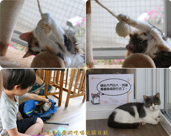 20180519楊梅美食@貓森咖啡-20.jpg