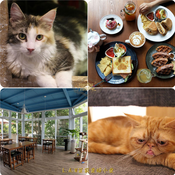 20180519楊梅美食@貓森咖啡-02.jpg
