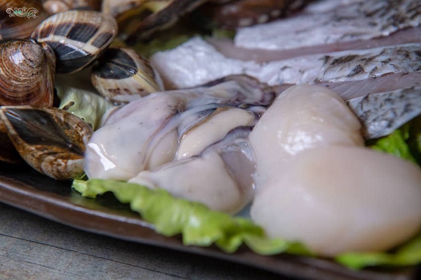 桃園火鍋推薦》金鍋盃桃園店 - 重量級航空母艦海鮮盤 成功路頂級美味鍋物 - 時空幻境 凌雲江海清