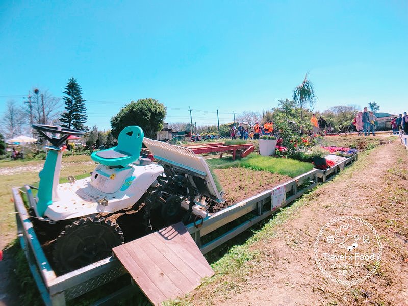 【遊】與你相芋｜2018 桃園彩色海芋季 @魚兒 x 牽手明太子的「視」界旅行