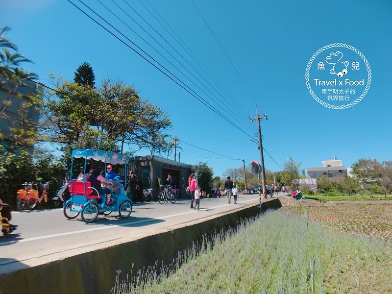 【遊】與你相芋｜2018 桃園彩色海芋季 @魚兒 x 牽手明太子的「視」界旅行