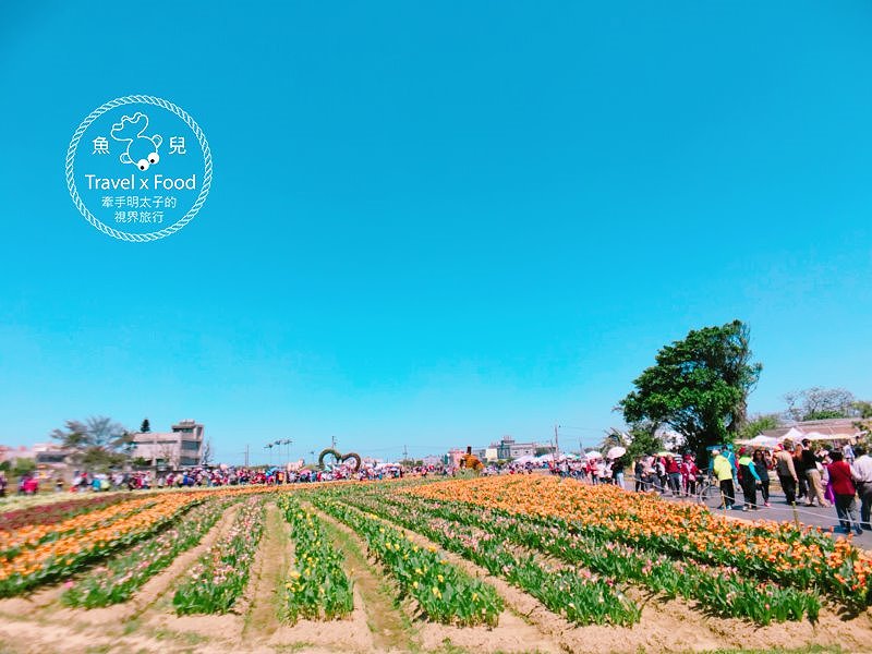 【遊】與你相芋｜2018 桃園彩色海芋季 @魚兒 x 牽手明太子的「視」界旅行