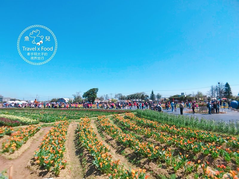 【遊】與你相芋｜2018 桃園彩色海芋季 @魚兒 x 牽手明太子的「視」界旅行