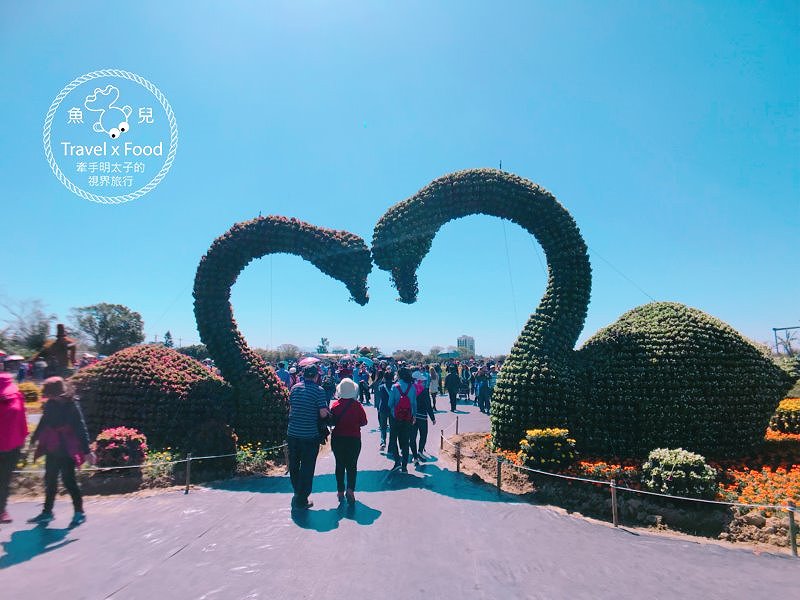 【遊】與你相芋｜2018 桃園彩色海芋季 @魚兒 x 牽手明太子的「視」界旅行