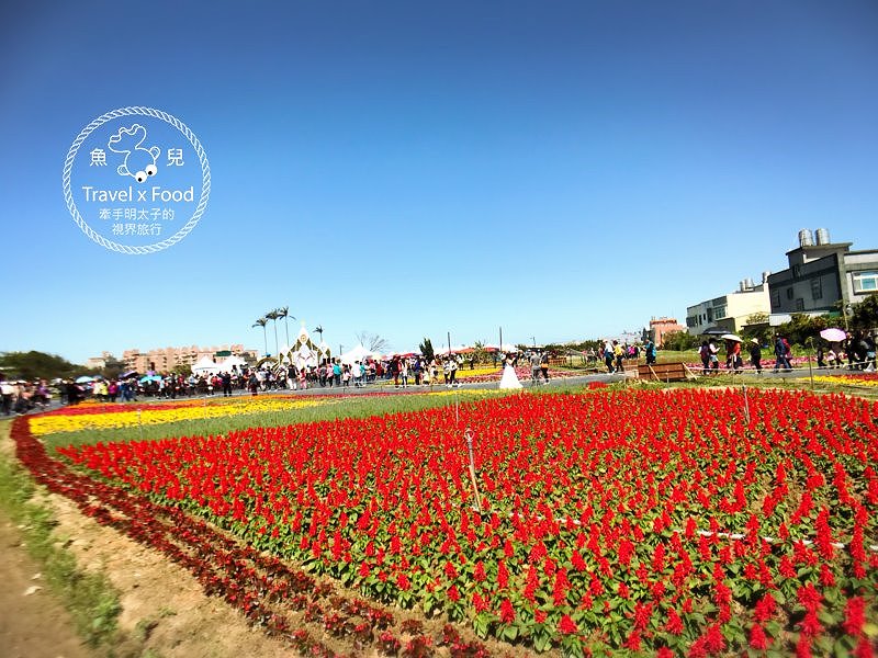 【遊】與你相芋｜2018 桃園彩色海芋季 @魚兒 x 牽手明太子的「視」界旅行