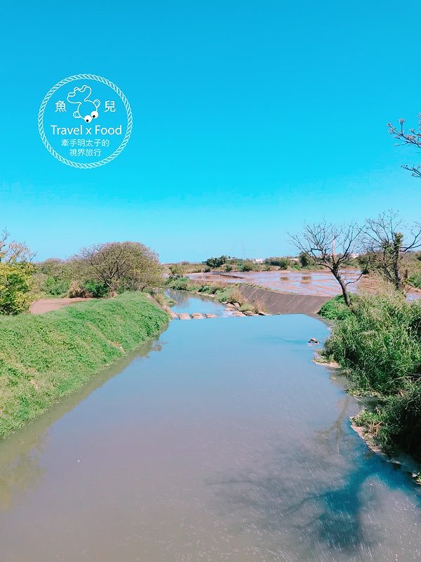 【遊】與你相芋｜2018 桃園彩色海芋季 @魚兒 x 牽手明太子的「視」界旅行