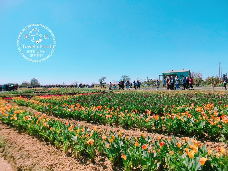 【遊】與你相芋｜2018 桃園彩色海芋季 @魚兒 x 牽手明太子的「視」界旅行