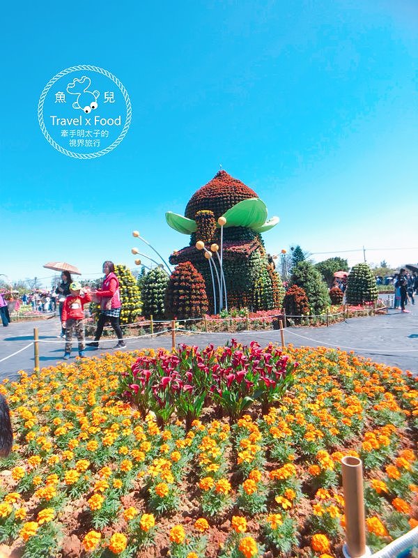 【遊】與你相芋｜2018 桃園彩色海芋季 @魚兒 x 牽手明太子的「視」界旅行