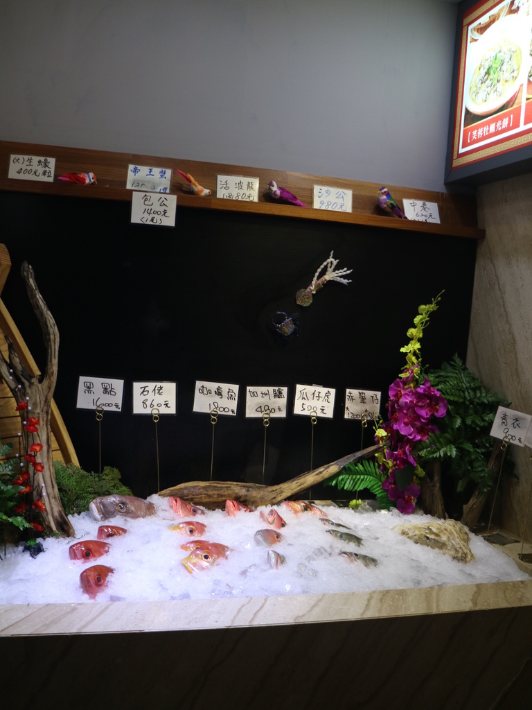 180224 020.JPG 180224 020.JPG