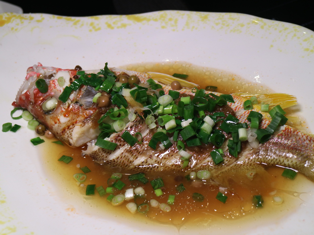 180224 117.JPG 180224 117.JPG