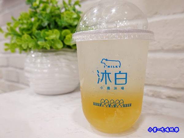 西施柚子茶-沐白小農沐場桃園總店 (1).jpg