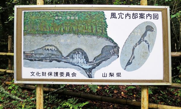 富岳風穴 (54).jpg