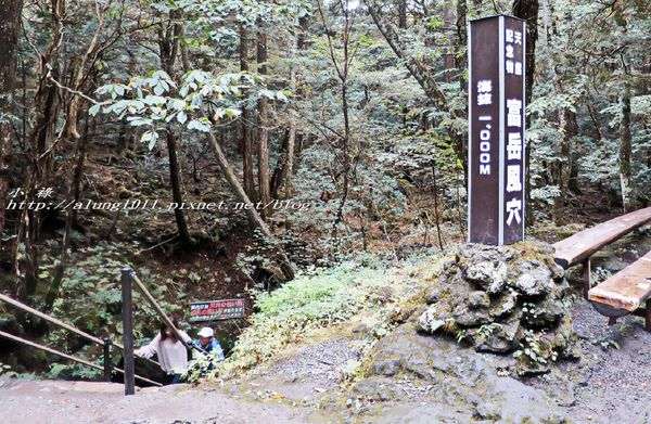 富岳風穴 (25).jpg