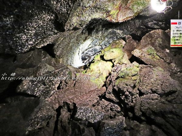 富岳風穴 (46).jpg