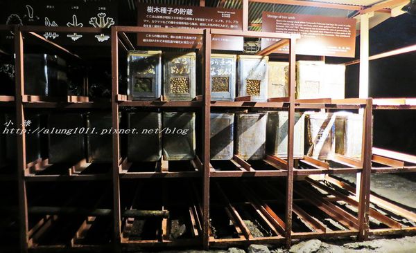 富岳風穴 (50).jpg